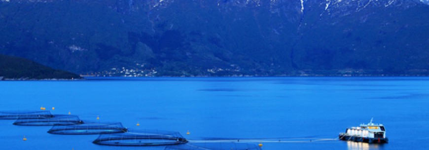 5. mai: Industrialisert havbruk – ESRA gjester Ocean Week